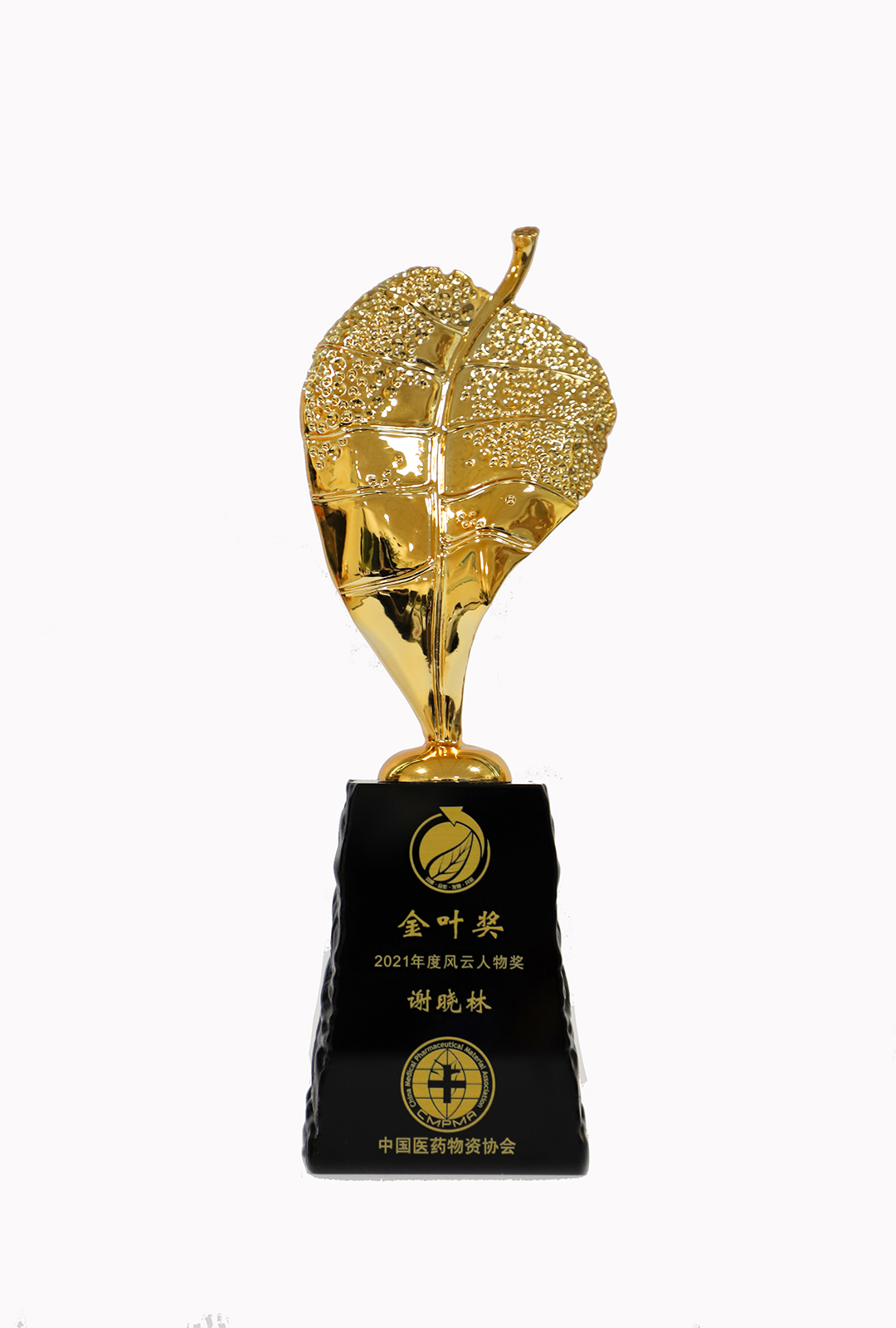 中國醫(yī)藥物資協(xié)會2021年度風(fēng)云人物獎(jiǎng)（金葉獎(jiǎng)）.jpg